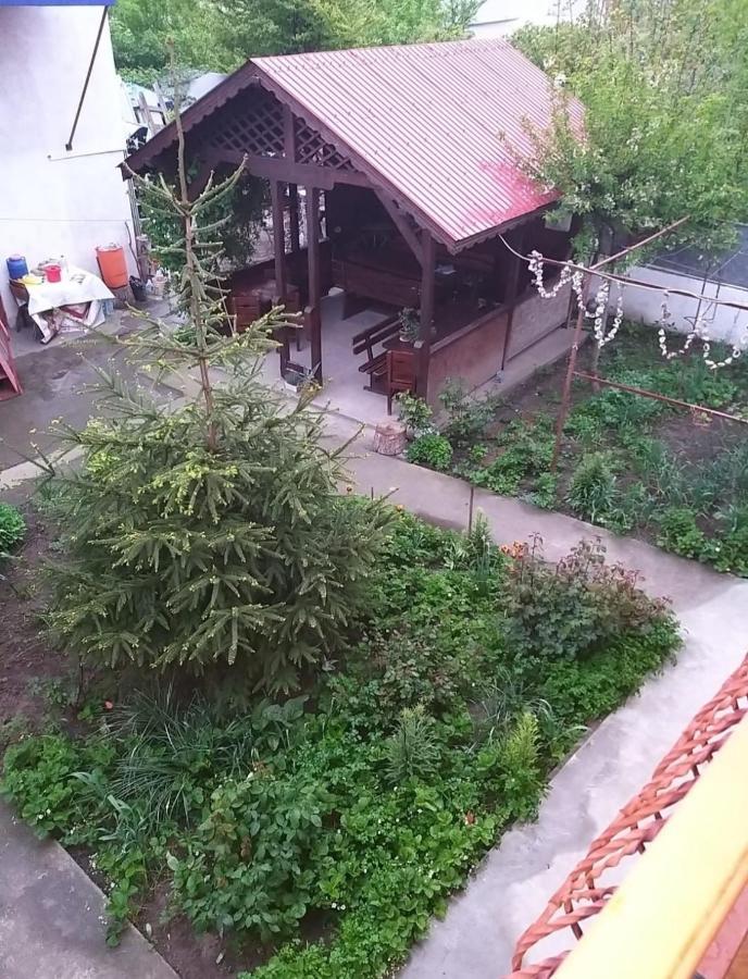 Pensiune La Rodica Hotel Костинещи Екстериор снимка